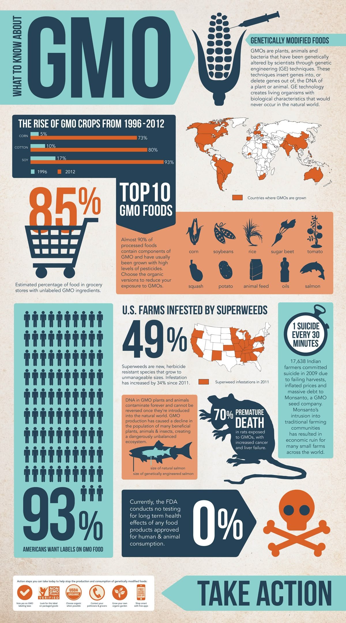Presentations - Infographics sample 2